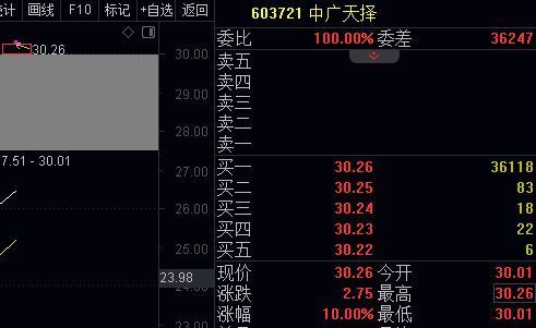 2024年11月份新病毒,经典解释定义_战略版32.900