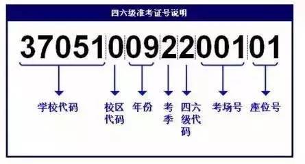 新澳门六开资料查询最新,创造性方案解析_运动版39.709